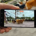 Samsung Galaxy S26 Ultra : le roi de la vidéo stabilisée enterre le besoin de trépied
